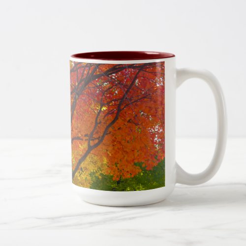 Autumn Leaves of Yellow and Orange Two_Tone Mug
