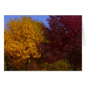 Autumn Leaves of Yellow and Purple Card (Front Horizontal)