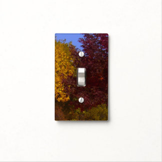 Autumn Leaves of Yellow and Purple Light Switch Cover