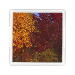 Autumn Leaves of Yellow and Purple, ZSSPG Acrylic Tray