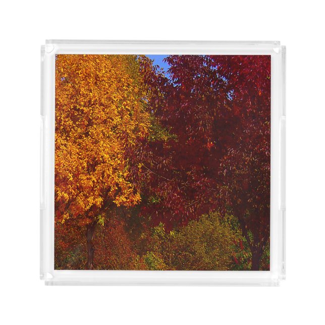 Autumn Leaves of Yellow and Purple, ZSSPG Acrylic Tray (Front)