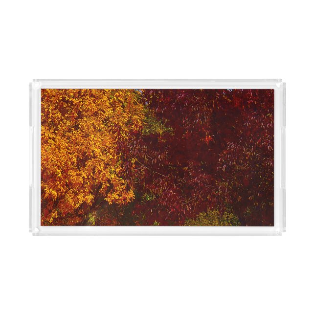 Autumn Leaves of Yellow and Purple, ZSSPG Acrylic Tray (Front)