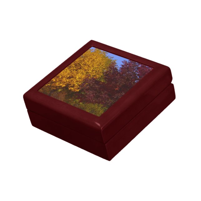 Autumn Leaves of Yellow and Purple, ZSSPG Gift Box (Side)