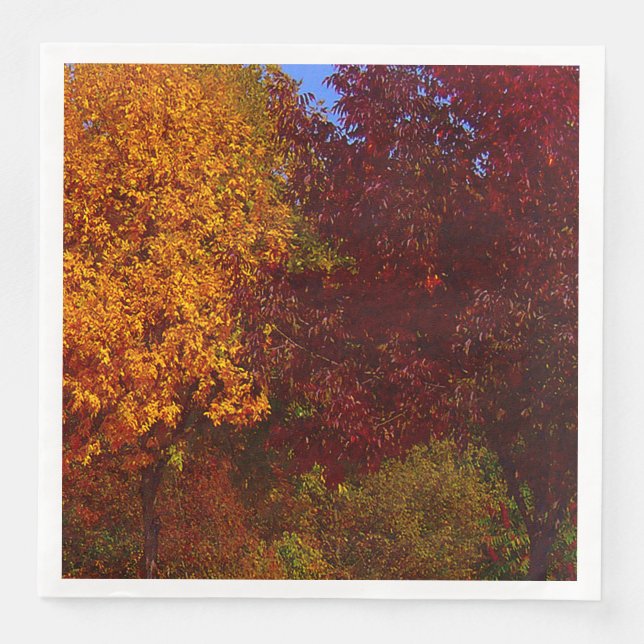 Autumn Leaves of Yellow and Purple, ZSSPG Paper Dinner Napkins (Front)