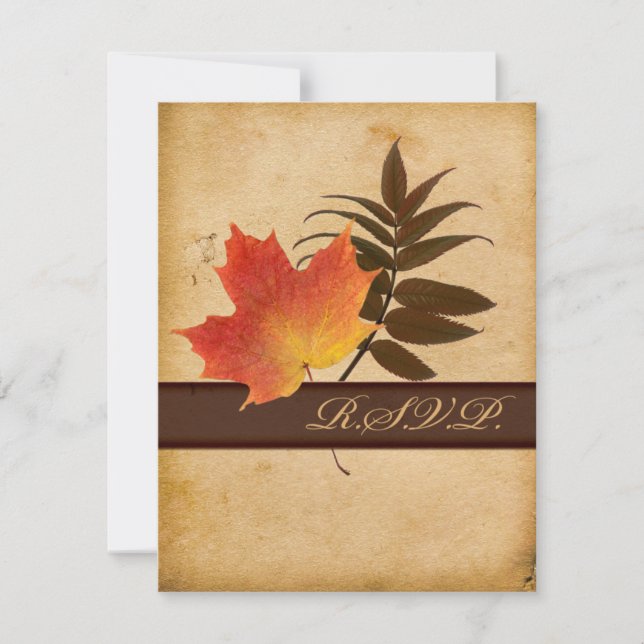 Autumn Leaves on Aged Paper Reply Card (Front)