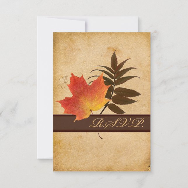 Autumn Leaves on Aged Paper Reply Card II - Small (Front)