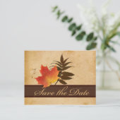 Autumn Leaves on Aged Paper Save the Date Card (Standing Front)