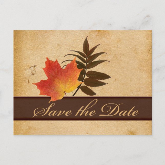 Autumn Leaves on Aged Paper Save the Date Card (Front)