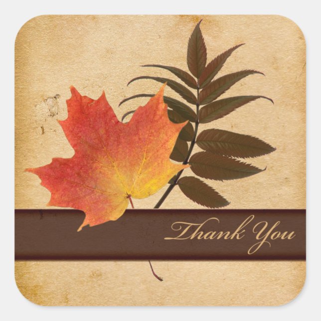 Autumn Leaves on Aged Paper Square Thank You Square Sticker (Front)