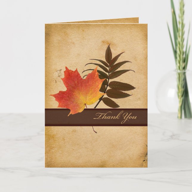 Autumn Leaves on Aged Paper Thank You Card (Front)