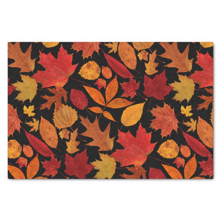 Autumn Leaves on Black Tissue Paper | Zazzle