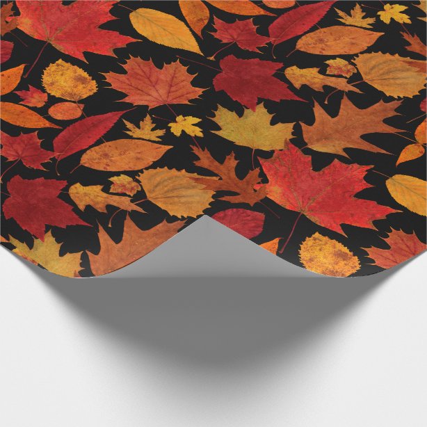 Fall Autumn Wrapping Paper | Zazzle