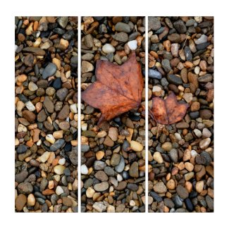 Autumn Leaves on Pebbles Photographic Triptych