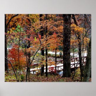 Autumn Leaves on Trees in Arkansas Value Poster