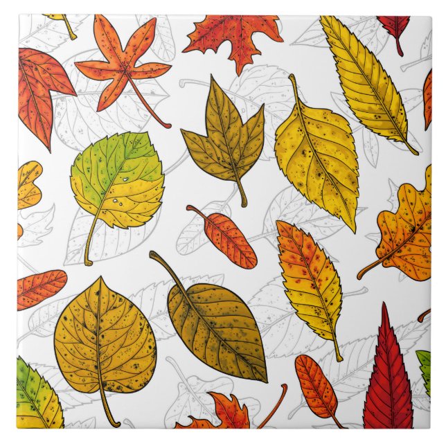 Autumn leaves on white ceramic tile (Front)
