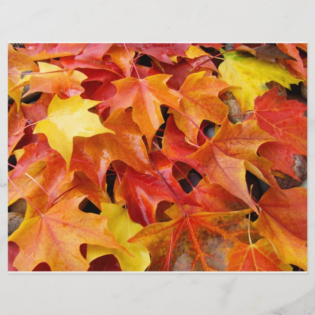 Autumn Leaves Orange Yellow Red Flyer Paper (Front)