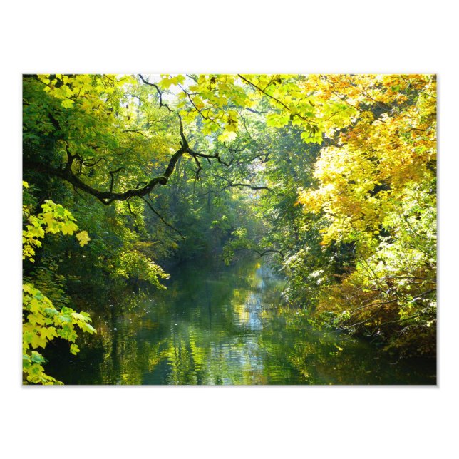 Autumn leaves over a stream photo print (Front)