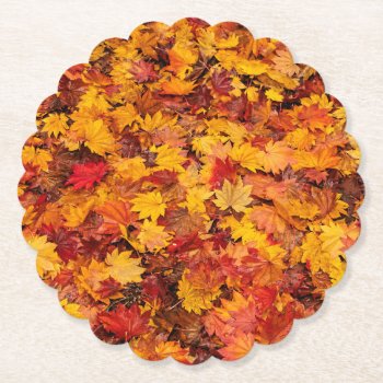Autumn Leaves Paper Coaster by CNelson01 at Zazzle