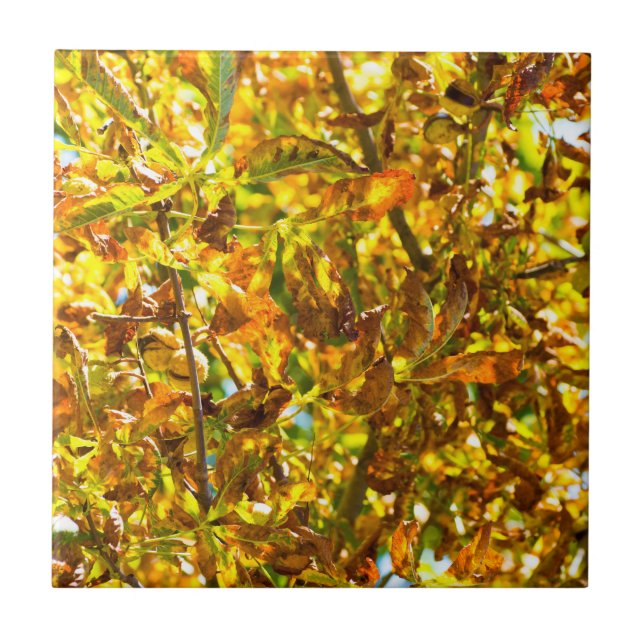 Autumn leaves pattern ceramic tile (Front)