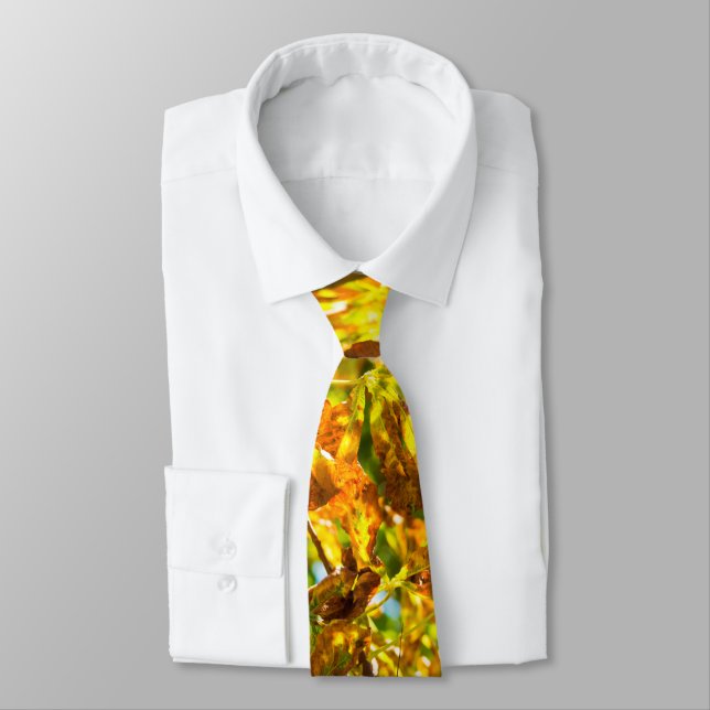 Autumn leaves pattern neck tie (Tied)