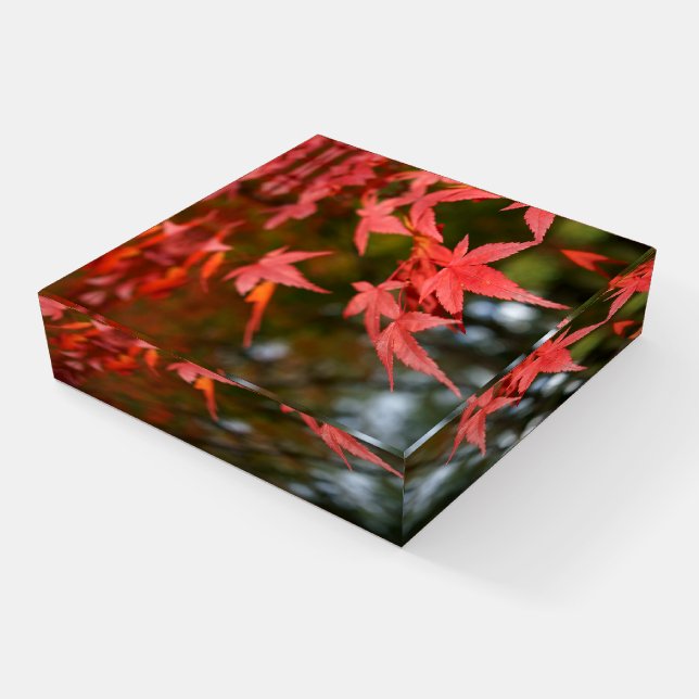 Autumn Leaves Photo Paperweight (Angled)