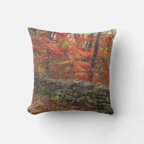 Autumn Leaves Picture _Fall Leaves Throw Pillow