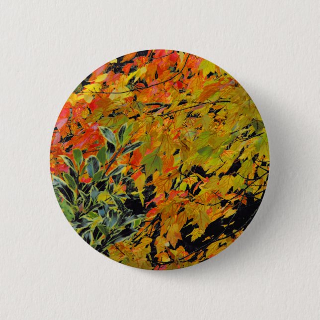 Autumn Leaves Pinback Button (Front)