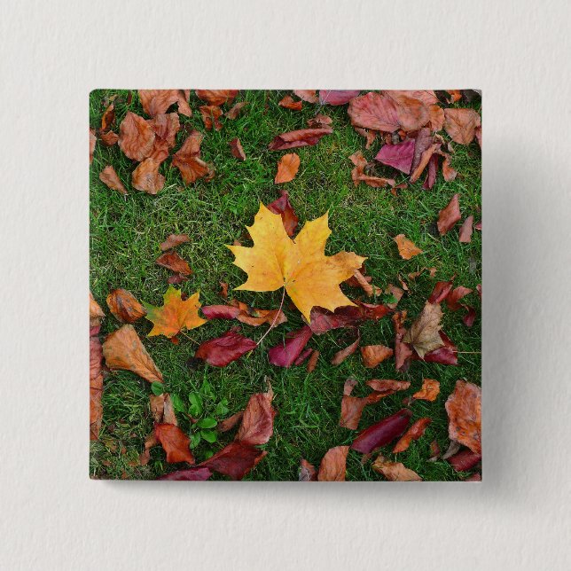 Autumn Leaves Pinback Button (Front)