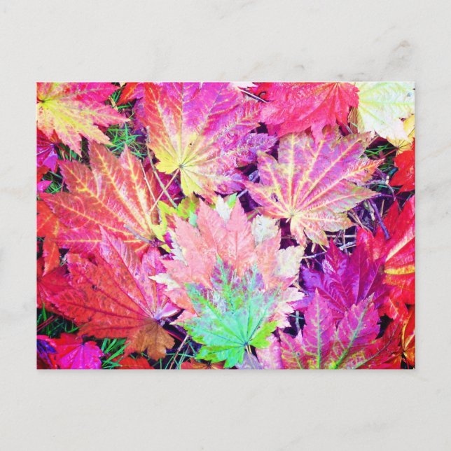 Autumn Leaves Postcard (Front)