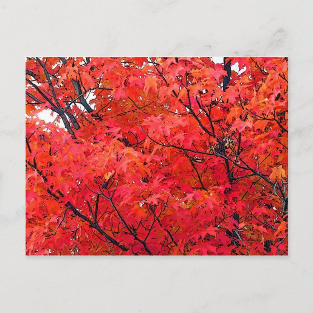 Autumn Leaves Postcard (Front)
