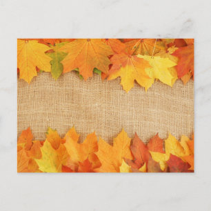 Autumn leaves postcard