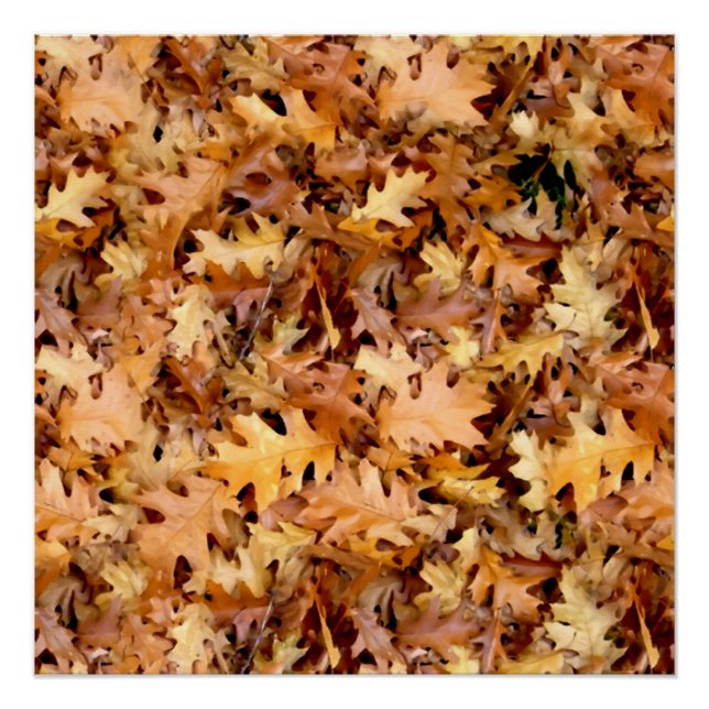 AUTUMN LEAVES POSTER (Front)