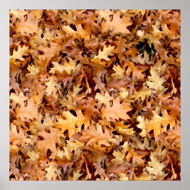 AUTUMN LEAVES POSTER (Front)