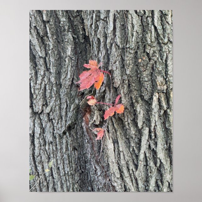 Autumn Leaves Poster (Front)