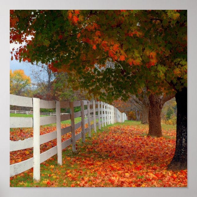 Autumn Leaves Poster (Front)