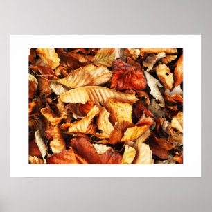 Autumn leaves poster