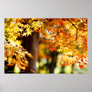 Autumn Leaves [Poster] Poster