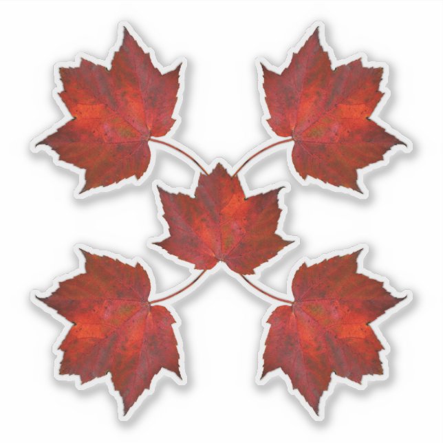 Autumn Leaves Red Leaf Shapes Sticker (Front)