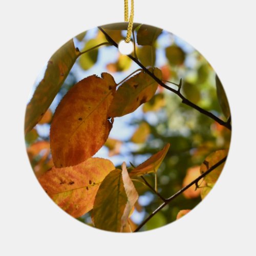 Autumn Leaves Riverside Park New York City Fall Ceramic Ornament