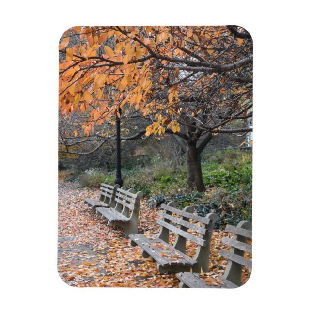 Autumn Leaves Riverside Park New York City NYC Magnet (Vertical)
