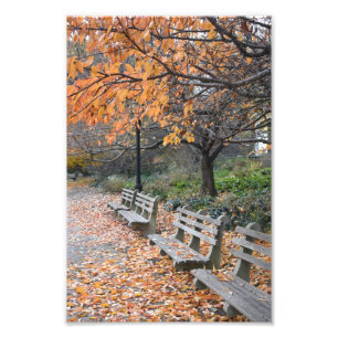 Autumn Leaves Riverside Park New York City NYC Photo Print