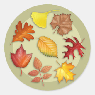 Autumn Leaves Round Sticker