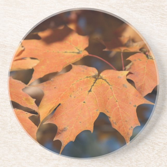 Autumn Leaves  Sandstone Coaster (Front)