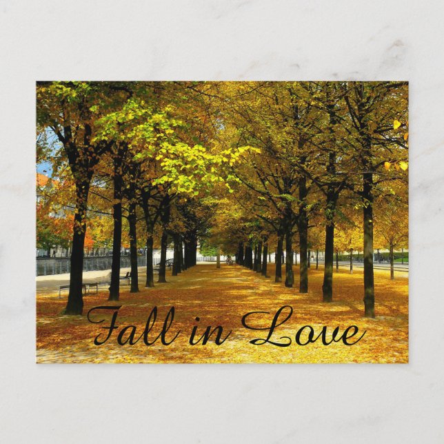 Autumn Leaves Save The Date Post Card (Front)