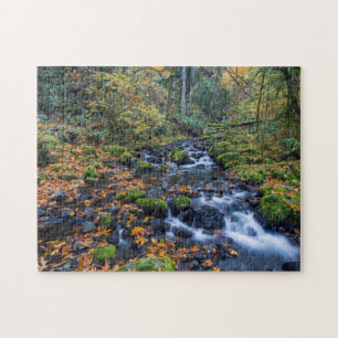Autumn Leaves Scattered Along Gorton Creek Jigsaw Puzzle