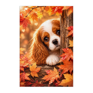 Autumn Leaves Secret Peek Cavalier King Charles Sp Acrylic Print