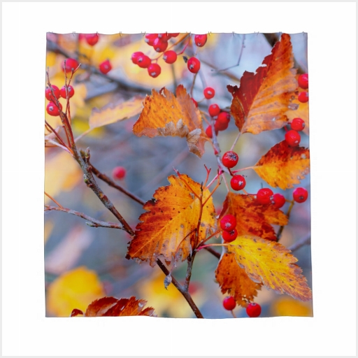 Autumn Leaves Showercurtains