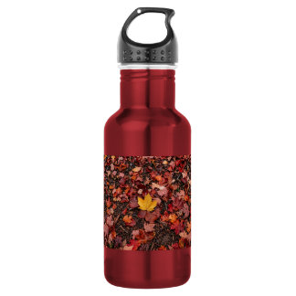 Autumn leaves stainless steel water bottle