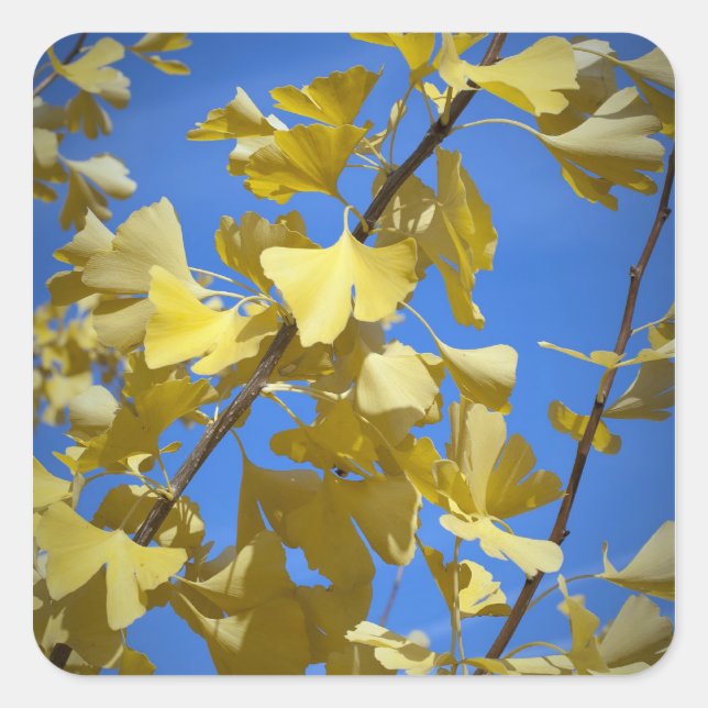 Autumn Leaves Sticker (Front)