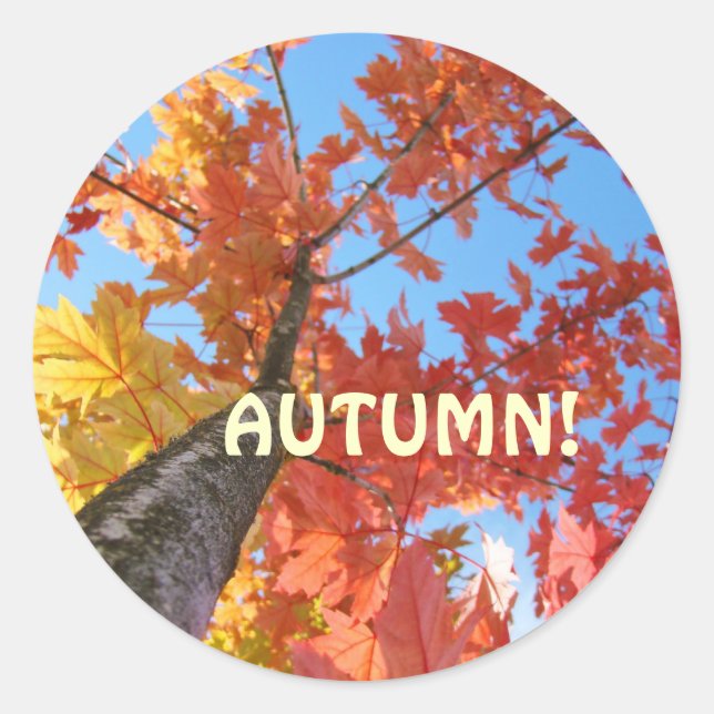 Autumn Leaves stickers custom Fall Leaves (Front)